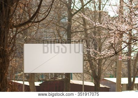 The almond tree blooms is white color