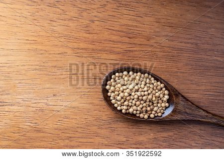 Coriander Seed, Spices, In Wooden Spoon On Rustic Wood Table Background, Copy Space
