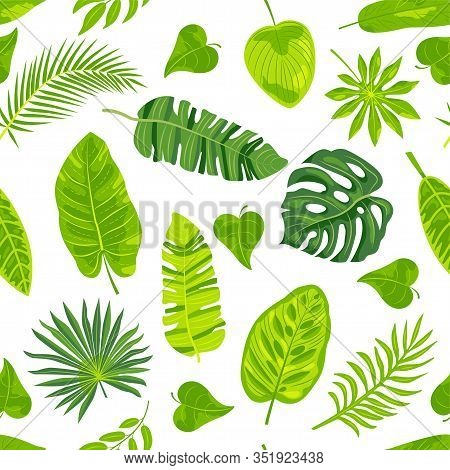 Jungle Leaves Seamless Pattern Vector Illustration. Vector Illustration