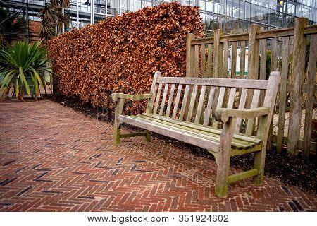 11 January 2020, Leiden, Netherlands, Wooden Bench In The Botanical Garden, Founded Around 1590