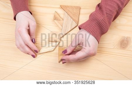 Girl Collects A Wooden Tangram Puzzle On A Wooden Table.
