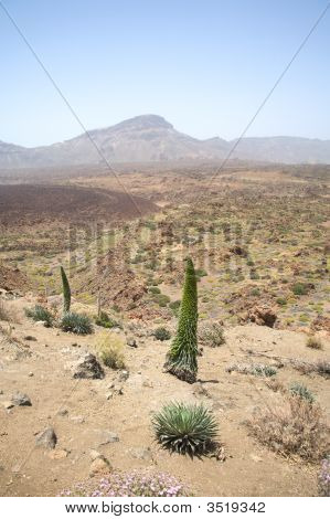 Pays volcanique