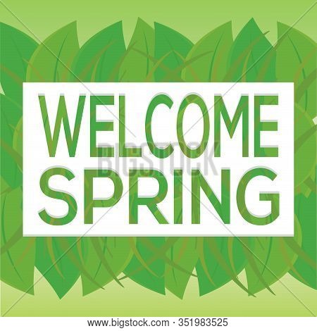 Welcome Sprimg Background With Leaves - Vector Illustration