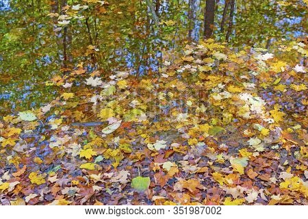 Pastel Leaves And Autumn Reflections In A Forest Pond In The Louis M Groen Nature Preserve In Michig