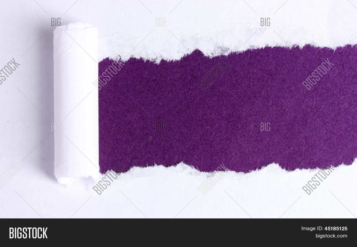 Violet Ripped Paper Torn Paper Violet Image & Photo (Free Trial) | Bigstock