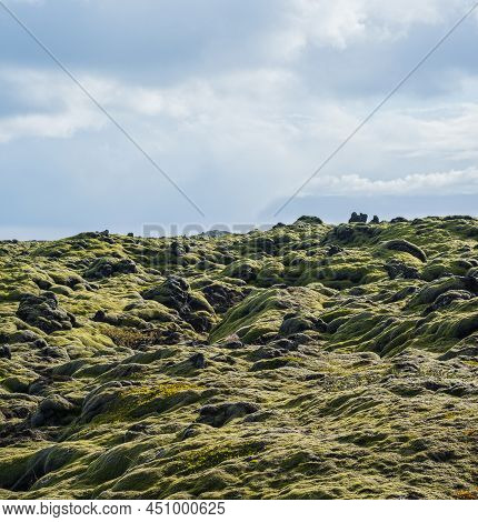 Scenic Autumn Green Lava Fields Near Fjadrargljufur  Canyon In Iceland. Green  Moss On Volcanic Lava