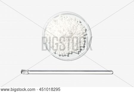 Carbamide In Chemical Watch Glass Placed Next To Stirring Rod. Closeup Chemical Ingredient On White 