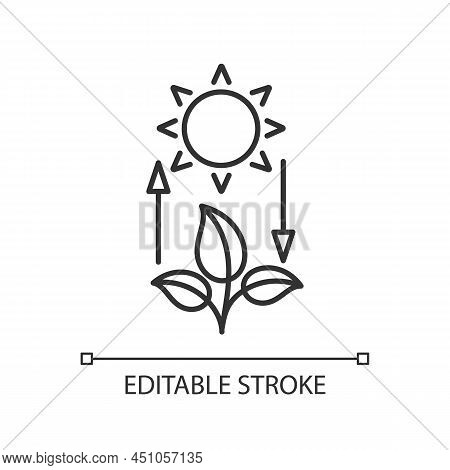 Photosynthesis Linear Icon. Turn Light Energy Into Chemical Energy. Plants Produce Oxygen. Thin Line
