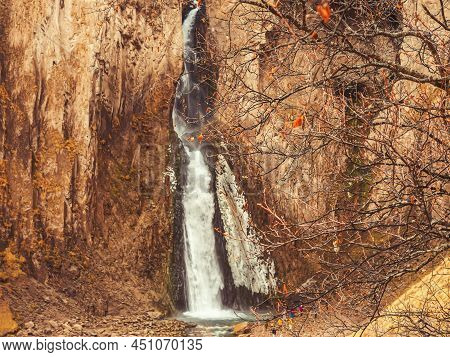 Bare Branches Of An Autumn Tree Against The Backdrop Of A Powerful Waterfall Flowing From Massive St