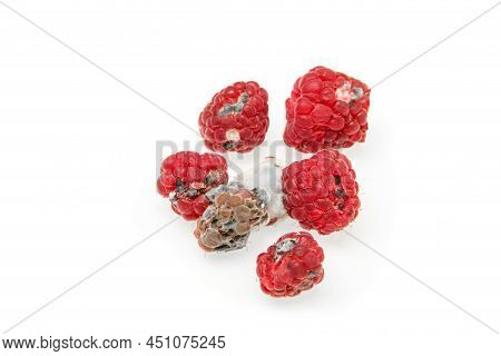 Several mouldy raspberries. Rotten and uneatable. Isolated on white background.