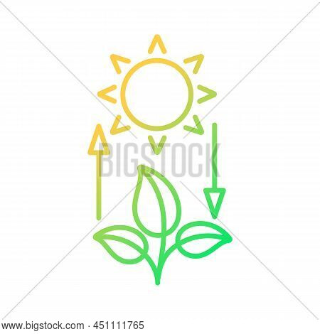 Photosynthesis Gradient Linear Vector Icon. Turn Light Energy Into Chemical Energy. Plants Produce O