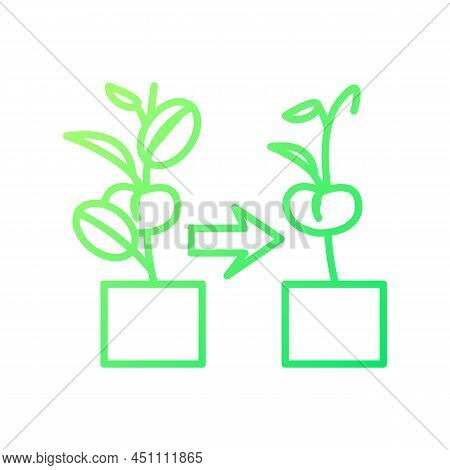 Withered Plant Gradient Linear Vector Icon. Fading And Wilting Flowers And Houseplants. Indoor Garde