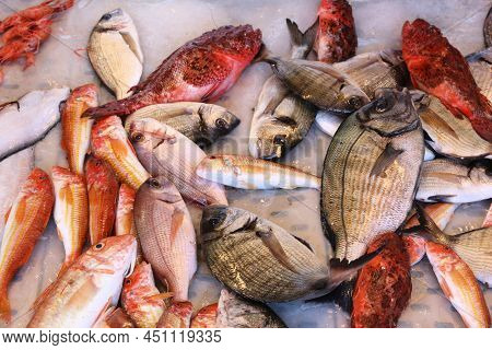 Italy Cuisine - Fish Market In Gallipoli. Sea Bream, Scorpion Fish And Red Mullet.