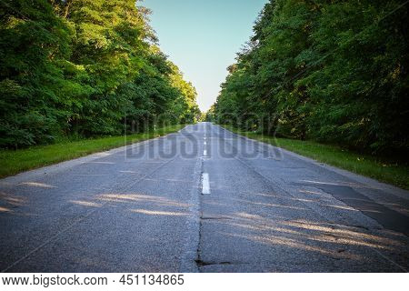 An Endless Little Road Going In The Middle Of The Forest. Green, Lushy And Uncontaminated Trees Ador