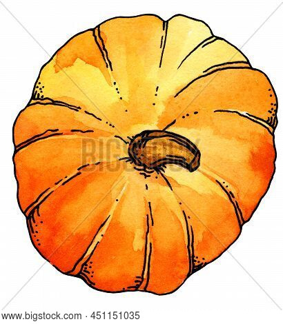 Watercolor Hand Drawn Pumpkin, Sketch Illustration, Isolated On White Background