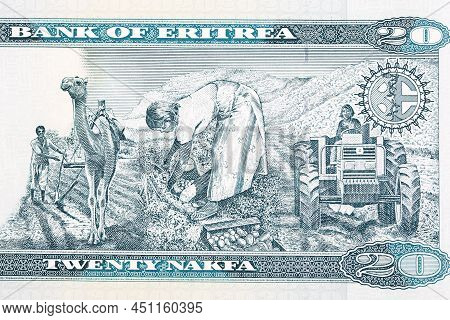 Three Agricultural Scenes From Eritrean Money -  Nakfa