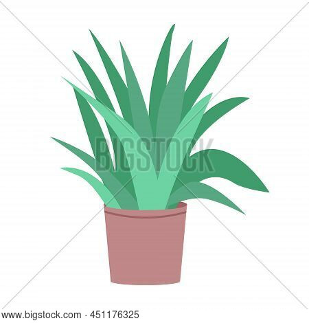 Aloe Vera Plant In Pot Semi Flat Color Vector Object. Houseplant. Full Sized Item On White. Growing 