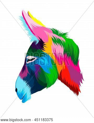 Abstract Donkey Head Portrait From Multicolored Paints. Colored Drawing