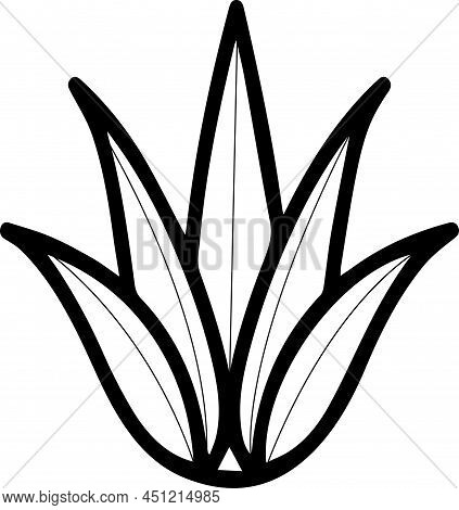 Alovera Vector Icon Illustration On White Background.