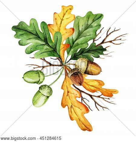 Green And Yellow Watercolor Leaves, Acorns And Branches Of Oak, Autumn Composition, Hand Draw Illust