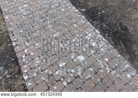 Surface Of The Cement Tile Pavement Is Heavily Soiled With Bird Shits. Dirty Tile In Bird Droppings