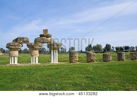 Parco archeologico. Metaponto. Basilicata. Italia.