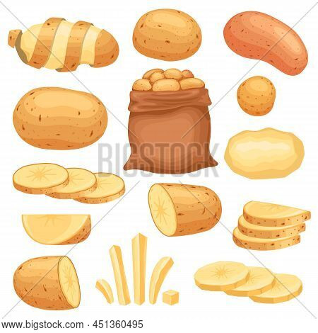Cartoon Peeled Raw Potato, Sliced And French Fries. Potatoes In Bag, Chopped, Chips And Slices. Farm
