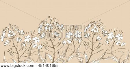 Hand Draw Border Pattern Flowers In Vintage Style. Flowers, Leaves And Herbs. Botanical Illustration