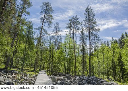 View Of The Pyha-luosto National Park In Summer, Wooden Walkway, Trees And Rocks, Lapland, Finland