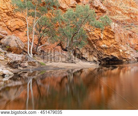 A Sunrise Shot Of A Waterhole And Gum Trees At Ormiston Gorge In Tjoritja-west Macdonnell National P