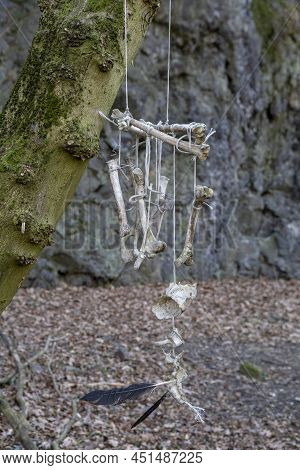 Animal Bones Hanging On The Rope From The Tree In The Forest. Bones Wind Chimes. Dream Catchers.