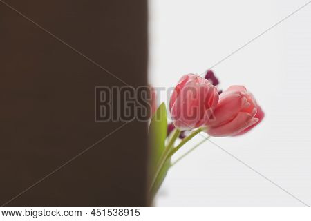 Pink Tulip Bouquet In Daylight. Spring Stll Life, Birthday, Easter Concept