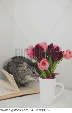 Gray Cat And Pink Tulip Bouquet In A Cozy Living Room. Spring Stll Life, Birthday, Easter Concept.