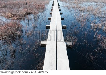 Tuhu Nature Tuhu Nature Walking Trail. Wooden Footbridges In The Swamp. Estonia
