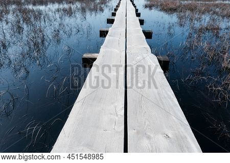 Tuhu Nature Tuhu Nature Walking Trail. Wooden Footbridges In The Swamp. Estonia