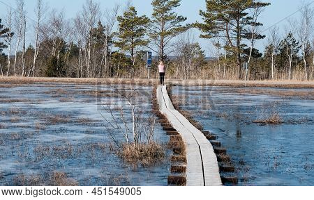 Tuhu Nature Tuhu Nature Walking Trail. Wooden Footbridges In The Swamp. Estonia.