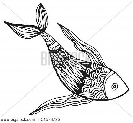 Fish Graphics Doodle, Hand Draw Sketch, Black And White Illustration, Line Art