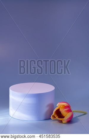 Abstract Minimal Scene Empty Stage With White Podium On Blue Background Red Tulip Flower Shadows Blu