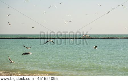 Somone Senegal - January Circa, 2022. Scene Of Lagoon Of Somone Wellknown For Birds Reserve, Peace P