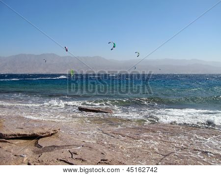 Pipas em Eilat, mar vermelho, Israel