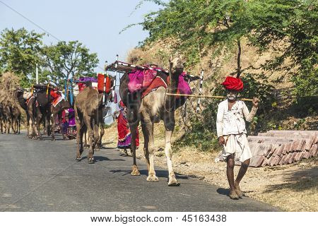 Rajasthani Tribal člověk nosí tradiční barevné rudých turbanů a chrání kozy