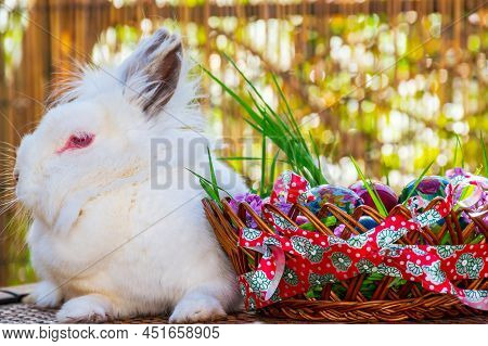 Easter Eggs Basket Decoration With Easter Bunny