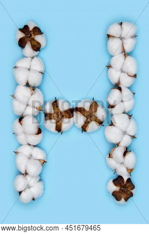Letter H Made Of Cotton Flowers And Isolated On Solid Blue Background. Floral Alphabet Concept. One 