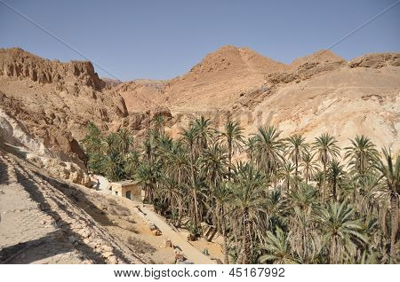 Oasi Chebika. Tunisia. Punto turistico. Turismo. Deserto del Sahara settentrionale.