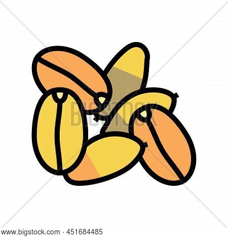 Spelt Seed Color Icon Vector. Spelt Seed Sign. Isolated Symbol Illustration