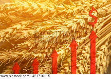 Graphs Of Rising Grain Prices Against Background Of Ripe Wheat. Increase In Price Of Wheat Seedsongr