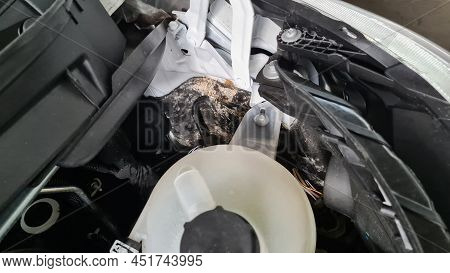 Mold In The Engine Compartment Of A Mobile Home After A Bad Design Of The Drainage Channel\nmold In 
