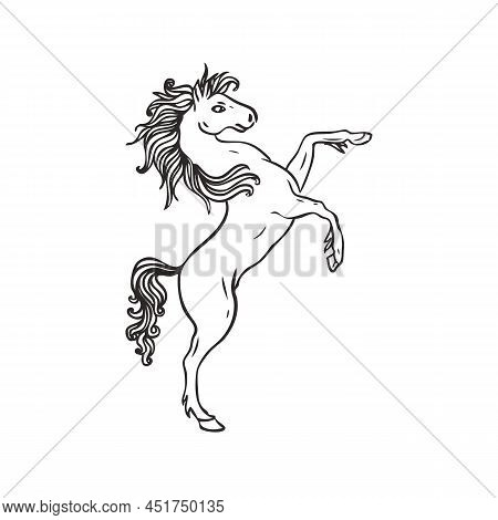 Element For Shields With Pegasus Or Unicorn. Vector Illustration.