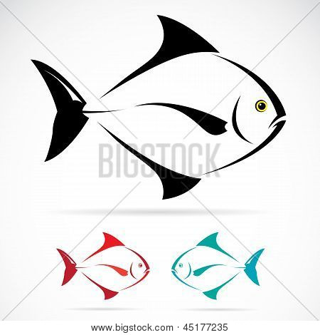 Vector image of an fish