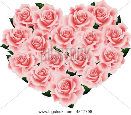 Cuore di Rose Rosa